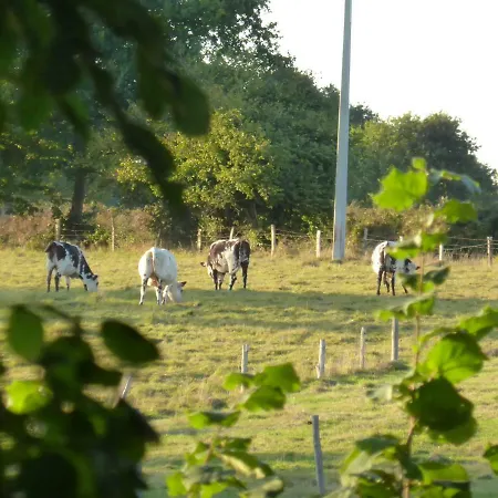 Le Petit Verger, 1 Impasse De La Fenouillere 61330 Semesterbostad *