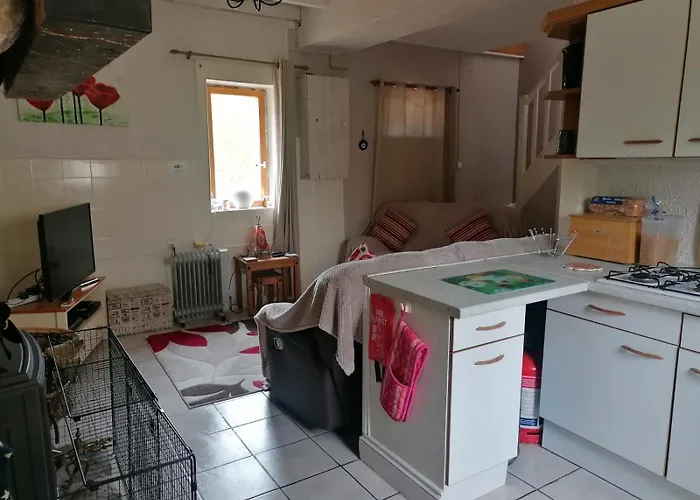Le Petit Verger, 1 Impasse De La Fenouillere 61330 Vakantiehuis
