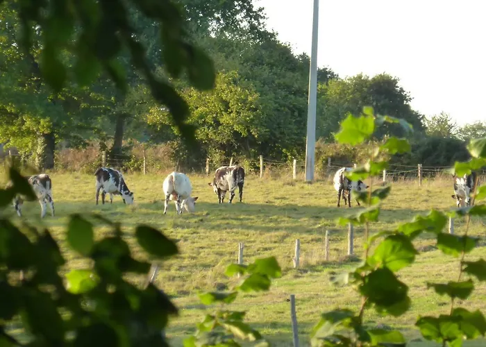 Le Petit Verger, 1 Impasse De La Fenouillere 61330 Holiday home *